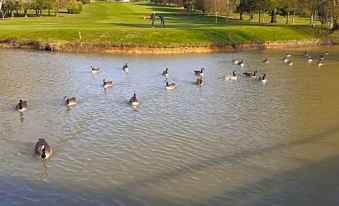 Weald of Kent Golf Course and Hotel