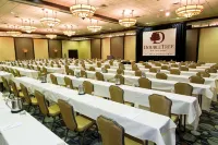 DoubleTree by Hilton St Paul Downtown - WiFi