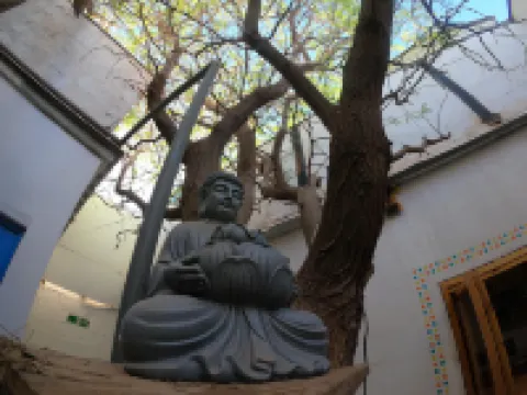 Rey Lagarto Hostel