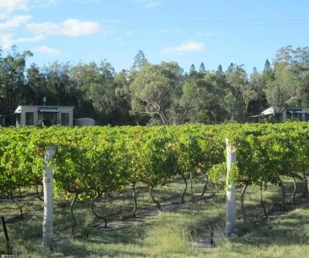 Just Red Wines Cabins
