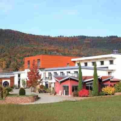 Main-Vinotel Weingut Helmstetter Hotel Exterior