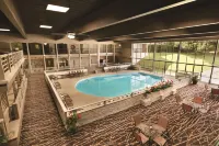 Derby Hotel & Suites - Wifi