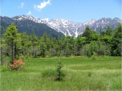 ホテル周辺 上高地 ホテル白樺荘の写真