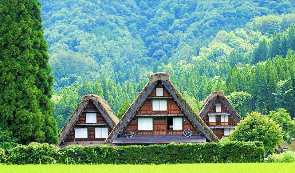 온야도 유이노쇼