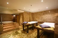 金奈市中心麗笙酒店 - SPA