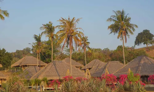 Bleu Mathis Gili Asahan