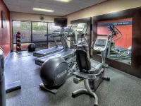 Hampton Inn New Bern - Træningscentre