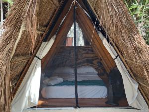 Glamping Asana Bacalar