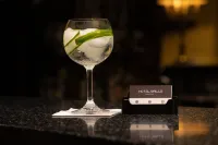 Hotel Grille - Quầy bar