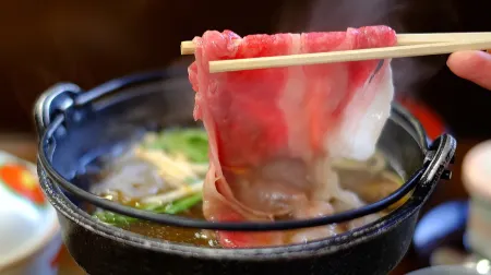 Hotel Katsuho Отели в г. Сибукава