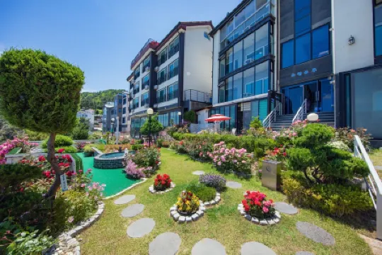 Samcheok Cnblue Pension