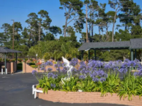 帕德雷橡樹酒店 蒙特雷酒店