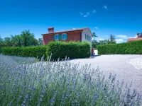 Villa Goretini Hotels in Šumber