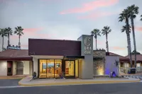 謝爾特科夫貝斯特韋斯特飯店 住宿飯店