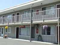 Metro Inn