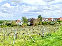 Am Weinberg