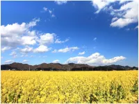 Hotel Green Plaza Kamogawa