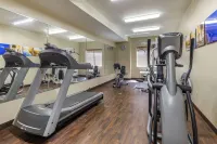 Comfort Suites Plano - Dallas North - Træningscentre