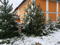 Gostevoy Dom Hotel Na Volge Hotels in Rybinsk