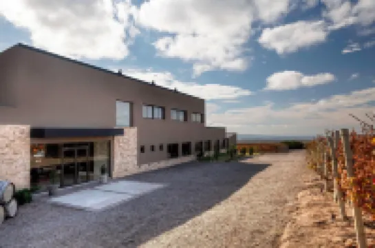 Auberge du Vin, a Tribute Portfolio Hotel, Tupungato โรงแรมใน