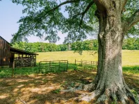 New! 🐄 Homestead @ Oakley Farms 🏡 Hotels in Forsyth County