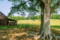 New! 🐄 Homestead @ Oakley Farms 🏡