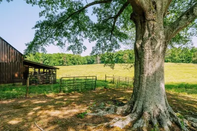 New! 🐄 Homestead @ Oakley Farms 🏡 Hotels near Walmart Pharmacy