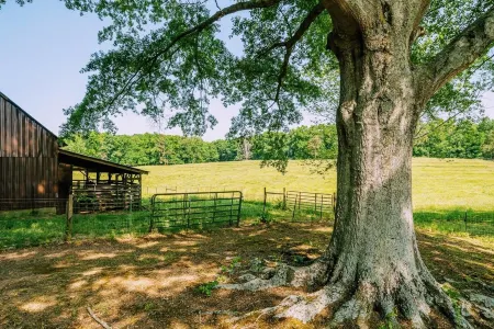 New! 🐄 Homestead @ Oakley Farms 🏡