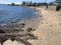 Sea Salt Air Changes Everything - ⭐️Stroll to Private Association Beach⭐️