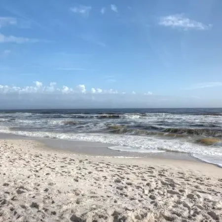 Gorgeous, updated oceanfront Condo with pool - Perdido Key Beach