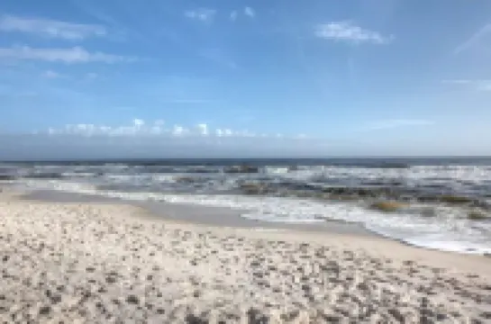 Gorgeous, updated oceanfront Condo with pool - Perdido Key Beach