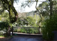 Lovely, Large 1 Br Apt in Sunny Central Marin! On 2 acres of gardens & woodlands