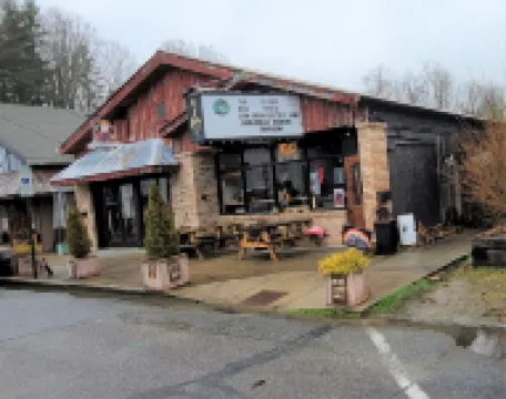 Bracken Bungalow - Cozy retreat a short stroll from downtown Brevard