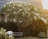 Victoria St. Beach House, Coffs Jetty5 Bedroom PET Friendly Airconditioned