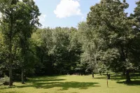 FARM ANIMALS: RESCUES, Mini HORSES and mini DONKEYs; - Farmhouses