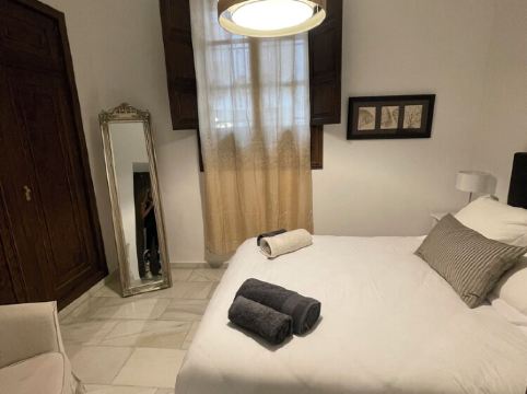 Beautiful apartment located in the old town, in front of the Alhambra.