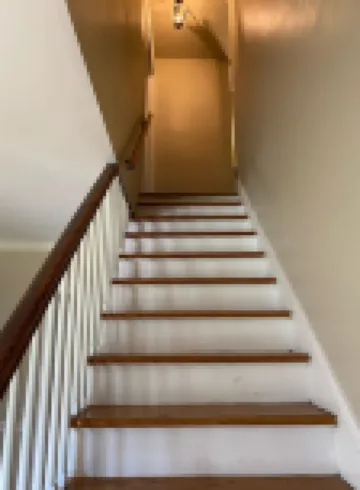 Greenville Classic House. 4 Bdrm, 3 Bath. Walk to Ecu Sporting Events. Dogs ok
