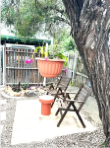 Barney Point Gem  Space, Privacy & Perfect Location Walk to Beach, Cafes and Pub Hotels in Barney Point