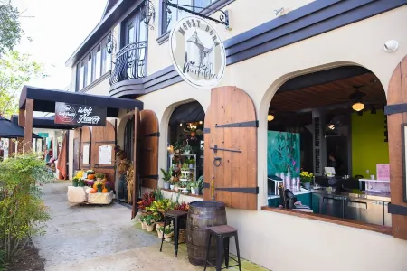 Cozy Cottage 3 blocks from town