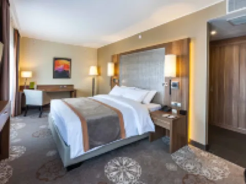 DoubleTree by Hilton Hotel Tyumen Hotels in Tyumen
