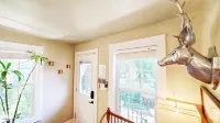 UT Downtown Eco Private Carriage Pecan Tree House Free Wifi Wired Internet