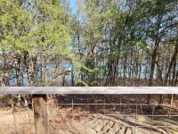 Cedar Rock-Lakefront Secluded Charming Cabin; Very Private