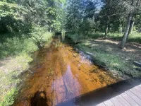 Peaceful Hideaway! New Listing