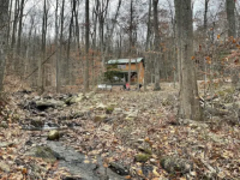 Creekside Cabin Vacation Rental