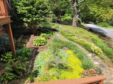 Henri's Place - Charming 1/1 Near Downtown Clayton! Dog Friendly!