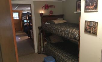 Cute, rustic cabin in Side Lake, No WiFi