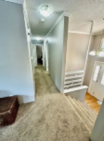 Unit surrounded by treesWasher and Dryer + Pet friendly!