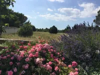 Le Mas de Baptiste near the town center with heated, sheltered swimming pool