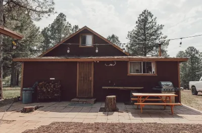 Cozy cabin in Mormon Lake Hotels near Meteor Crater Natural Landmark