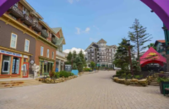 Snowshoe Creekside Villas - perfect location
